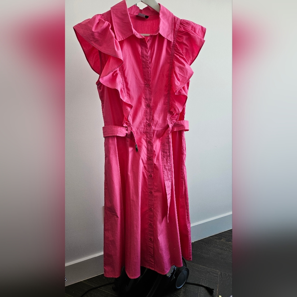 Pink Ruffled Button-Down Dress - Picture 2 of 15